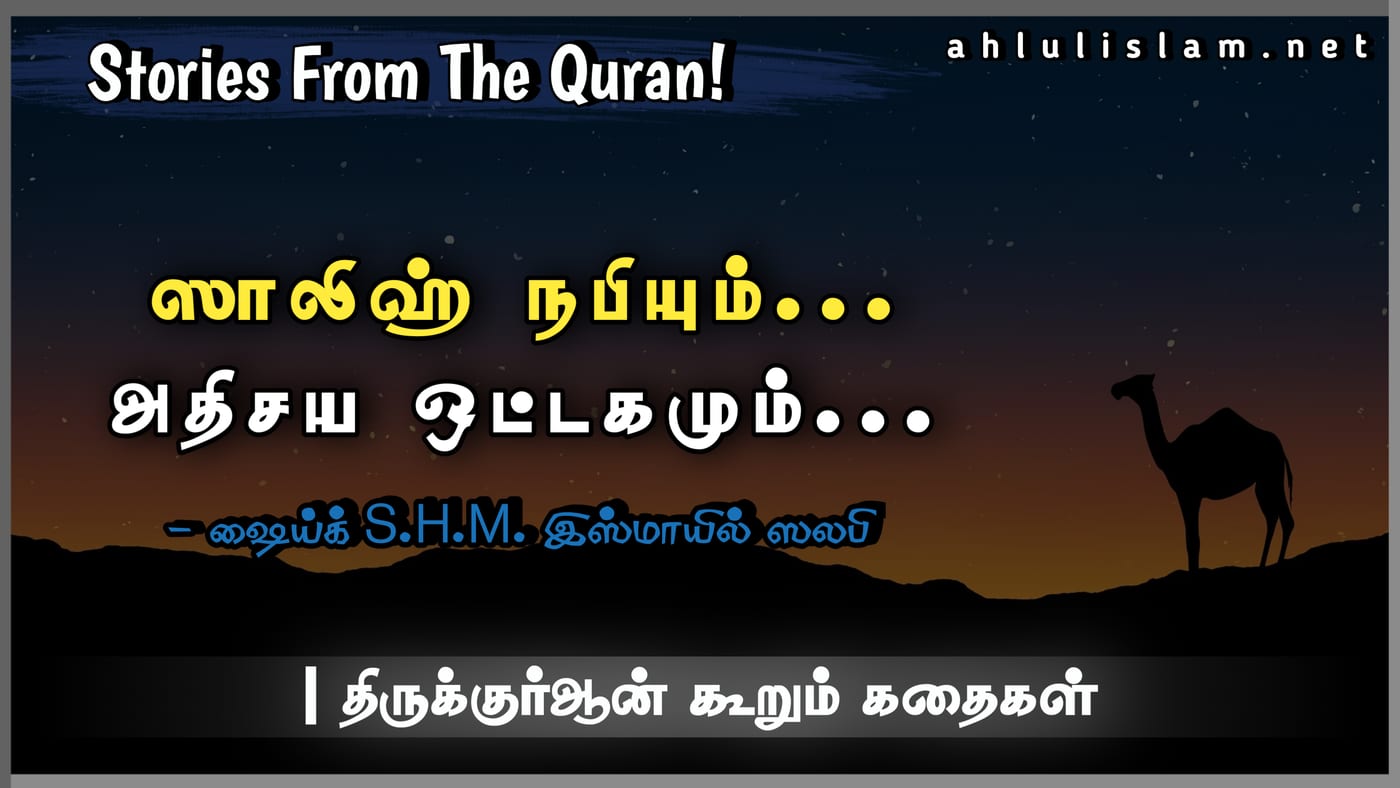ஸாலிஹ் நபியும் அதிசய ஒட்டகமும்  [திருக்குர்ஆன் கூறும் கதைகள்-4]