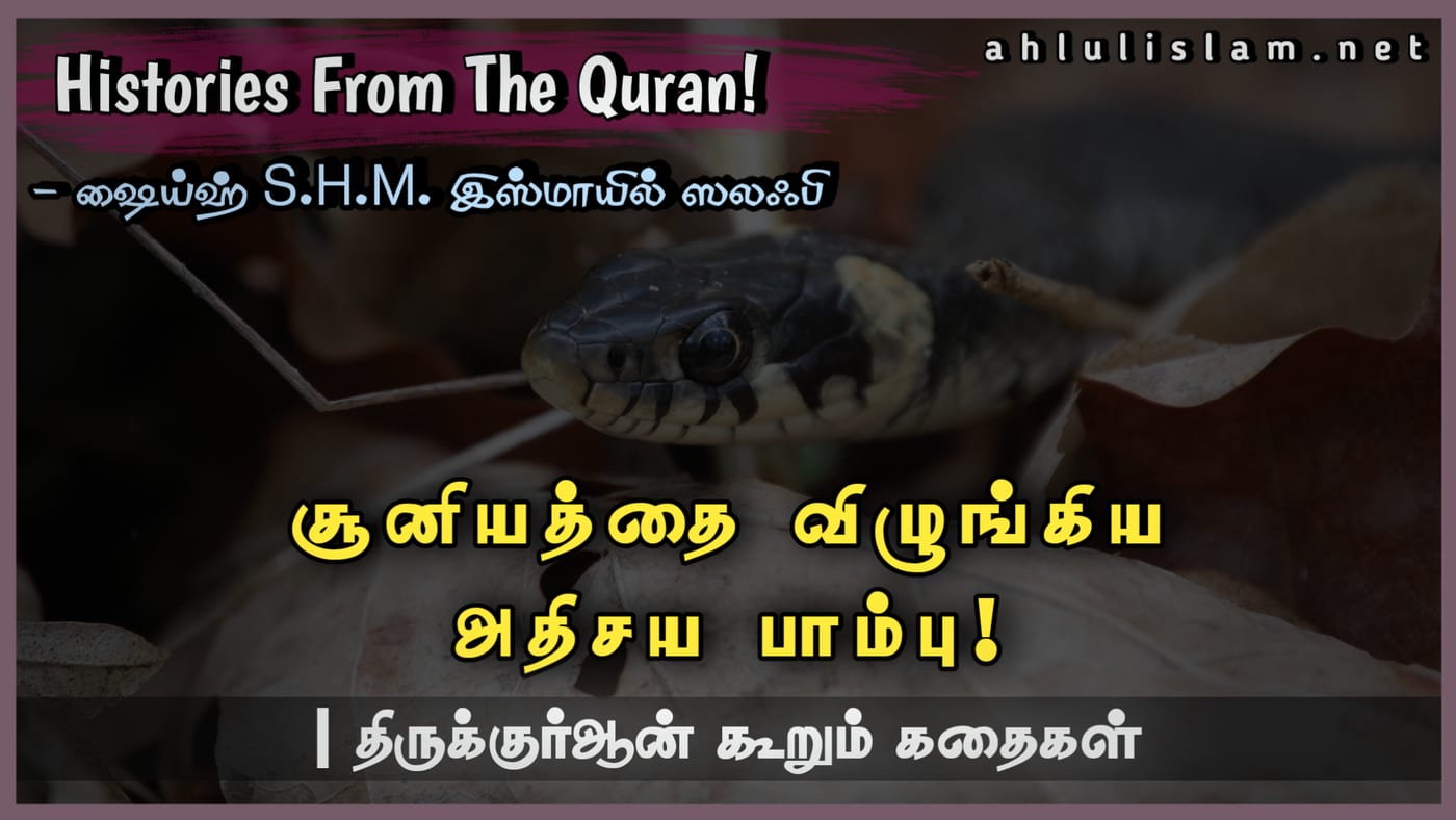 சூனியத்தை விழுங்கிய அதிசயப் பாம்பு!