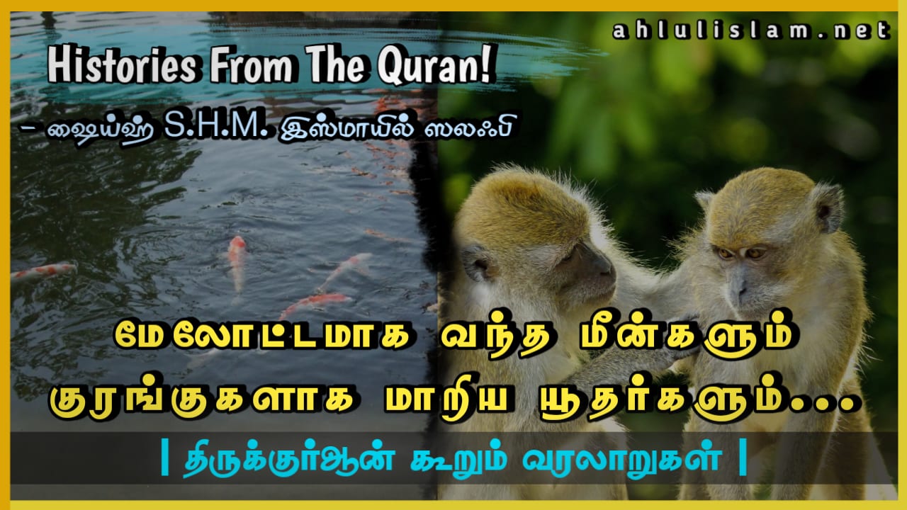 கரை ஒதுங்கிய மீன்களும்… குரங்குகளாக மாற்றப்பட்ட மீனவர்களும்…