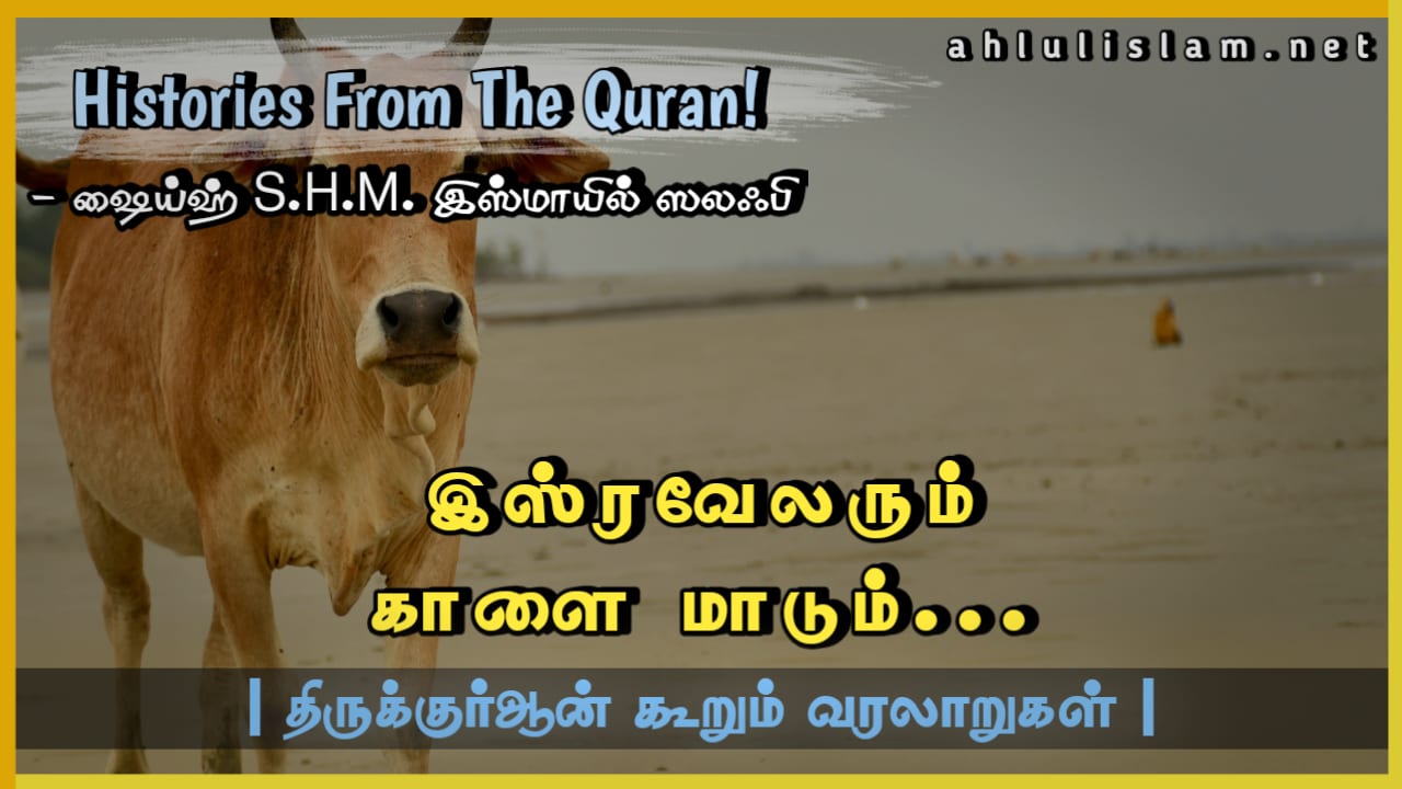 இஸ்ரவேலரும் காளை மாடும்...