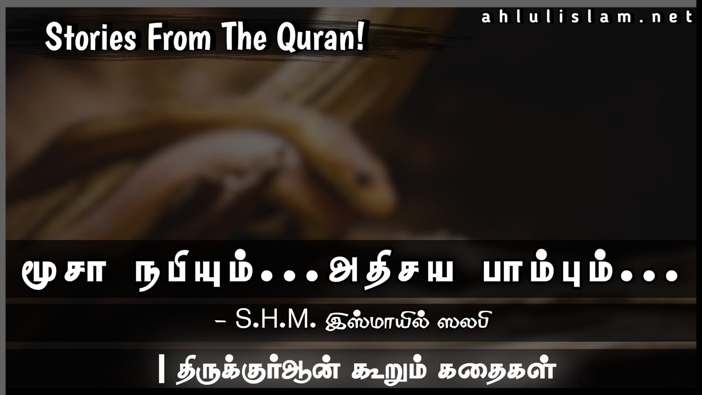 மூசா நபியும்... அதிசயப் பாம்பும்...